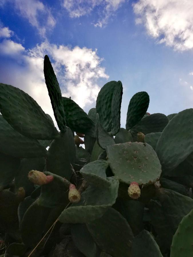 Casavero Voroklini Dış mekan fotoğraf